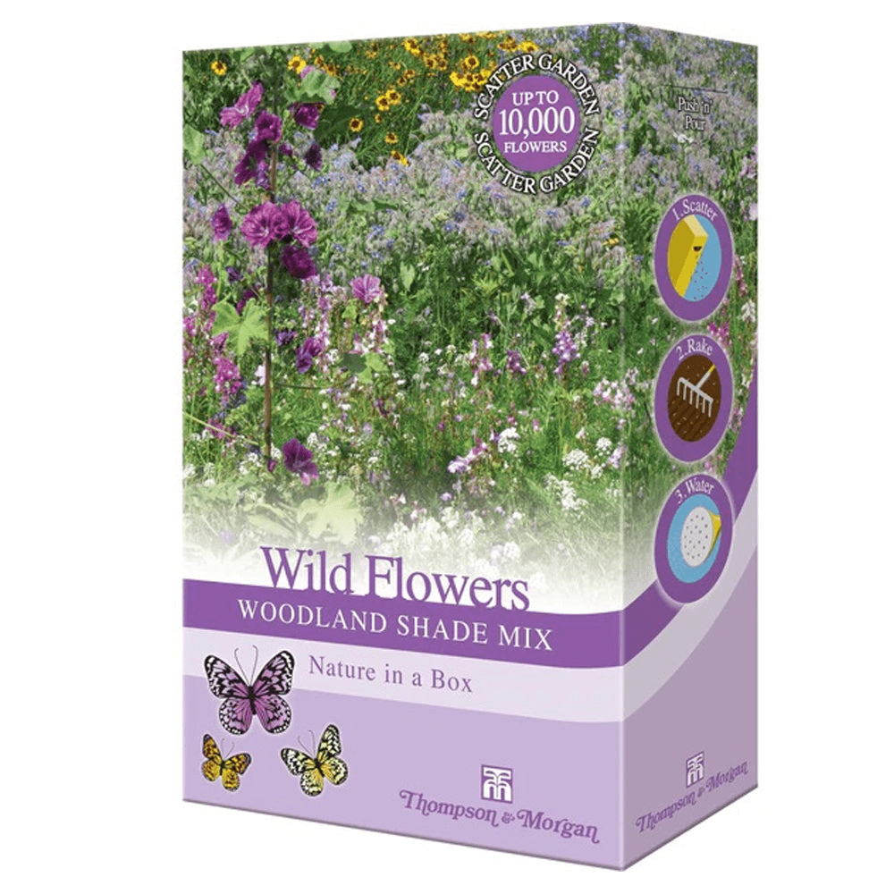 Thompson & Morgan Wild Flowers - Woodland Shade Mix 200g - SEED VEG & FLOWER - Beattys of Loughrea