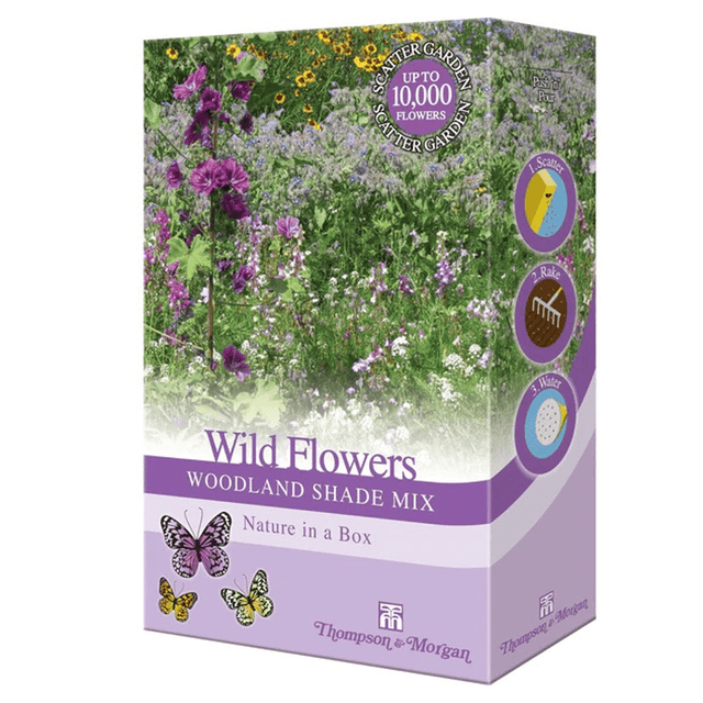 Thompson & Morgan Wild Flowers - Woodland Shade Mix 200g - SEED VEG & FLOWER - Beattys of Loughrea