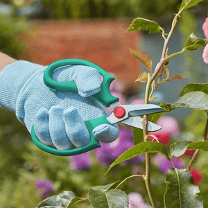 SmartSnips - WATERING CAN/SPRINKLER - Beattys of Loughrea