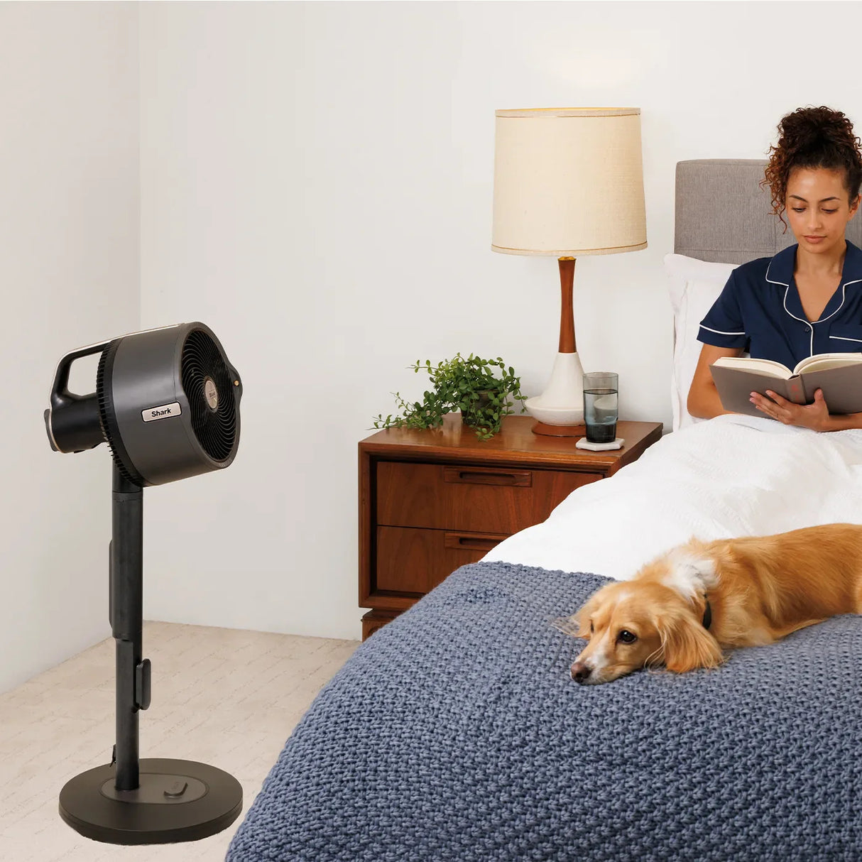 Shark FlexBreeze Pro Mist Indoor & Outdoor Fan & Outdoor Misting System FA300UK
