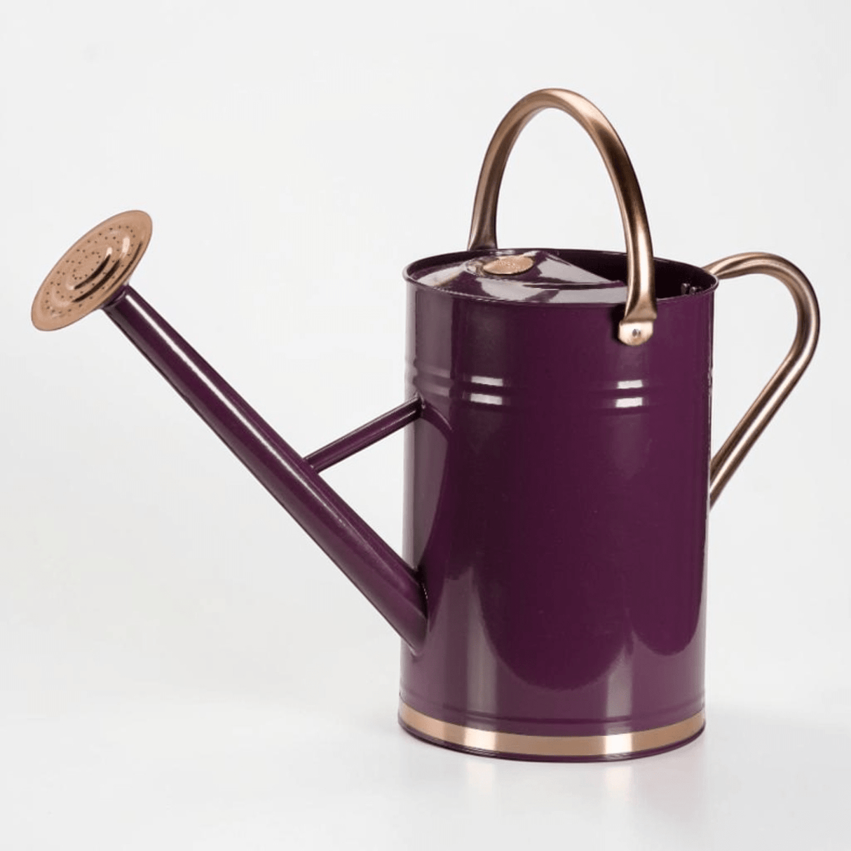 Watering Can 4.5 L – Violet - WATERING CAN/SPRINKLER - Beattys of Loughrea