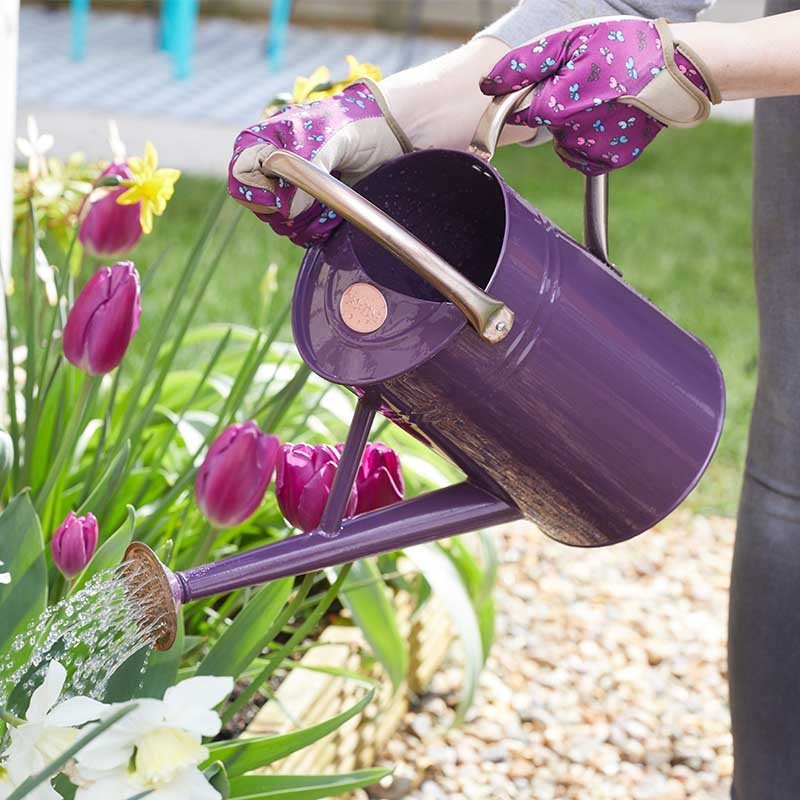Watering Can 4.5 L – Violet - WATERING CAN/SPRINKLER - Beattys of Loughrea