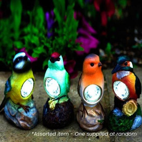 Bird Solar Spot Light Assorted - One Supplied* - GARDEN ORNAMENTS INCL SOLAR - Beattys of Loughrea