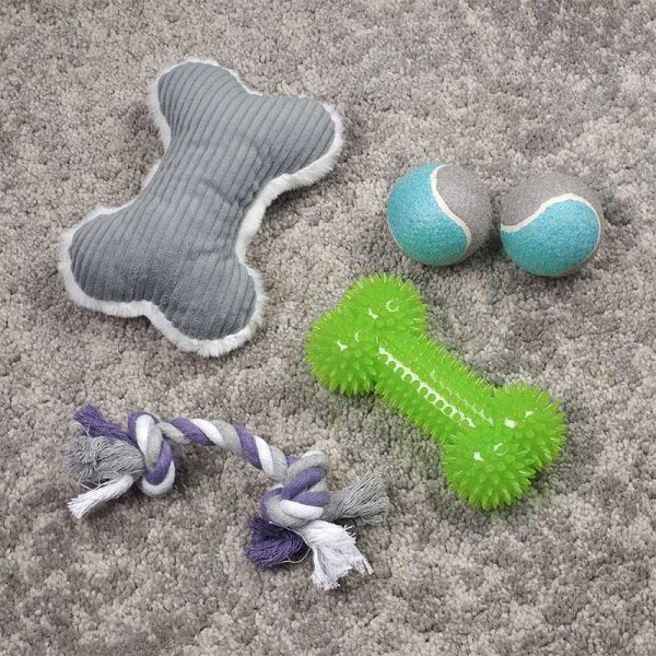 Zoon My Dog's Play Pack - PET TOYS BOOKS - Beattys of Loughrea