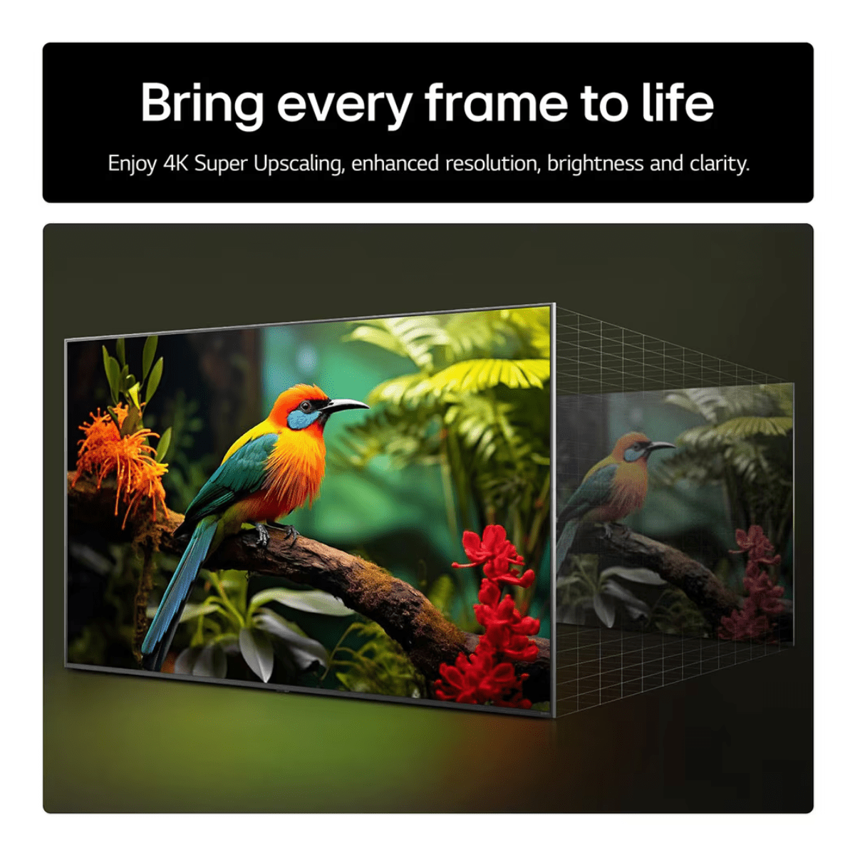 LG 65" UA73 4K UHD Smart TV (65UA73006LA) - TV 29" (73CM +) - Beattys of Loughrea