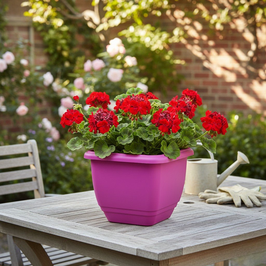 Stewarts 30cm Cherry Red Square Patio Planter - Beattys of Loughrea | www.beattys.ie