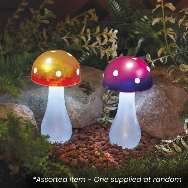 Button Shroom Stake Light Assorted - One Supplied* - Beattys of Loughrea | www.beattys.ie