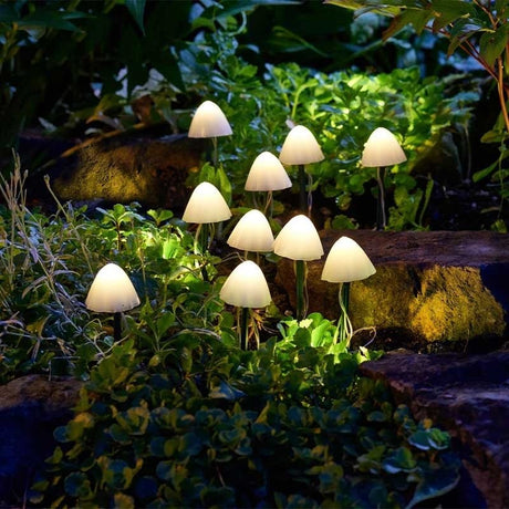 LumiShroom Solar Stake Lights – Set of 10 - Beattys of Loughrea | www.beattys.ie