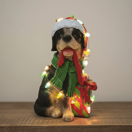 LED Christmas Rottweiler 12x24cm - XMAS ROOM DECORATION LARGE AND LIGHT UP - Beattys of Loughrea
