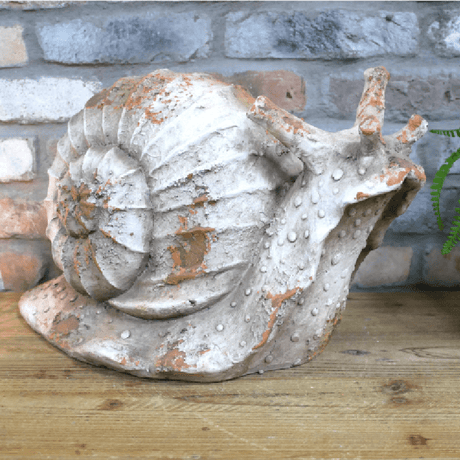 Snail Garden Ornament - ORNAMENTS - Beattys of Loughrea