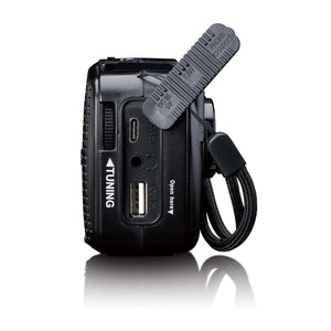 Lenco MCR‑113BK Emergency Multi - Purpose Hand Crank Radio – Black - PORTABLE CD/RADIO - Beattys of Loughrea