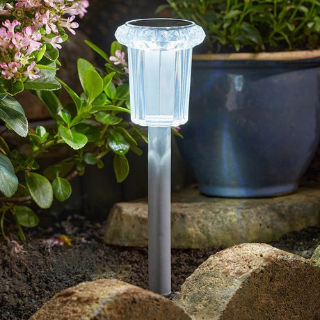 Raylite Solar Stake Light - GARDEN ORNAMENTS INCL SOLAR - Beattys of Loughrea