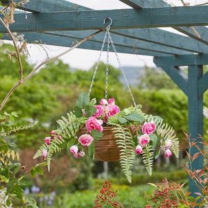 Regal Hanging Basket – Pink Perfection - GARDEN ORNAMENTS INCL SOLAR - Beattys of Loughrea
