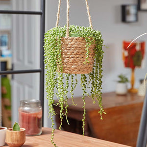 6" The Weaver Basket - GARDEN ORNAMENTS INCL SOLAR - Beattys of Loughrea