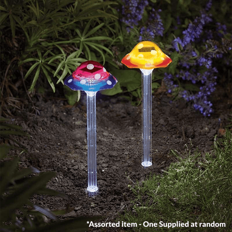 Funky Fungus Stake Light Assorted - One Supplied* - GARDEN ORNAMENTS INCL SOLAR - Beattys of Loughrea