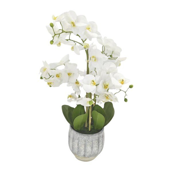 White Orchid Arrangement – 67cm - DESK/READING LAMPS - Beattys of Loughrea