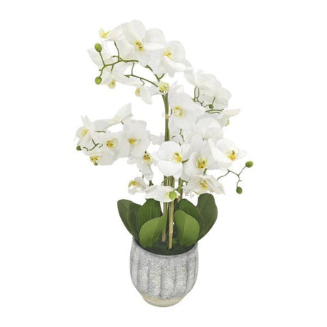 White Orchid Arrangement – 67cm - DESK/READING LAMPS - Beattys of Loughrea