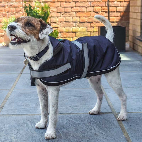 Zoon Uber-Activ Waterproof Comfort Coat – Navy – 50cm - PET TOYS BOOKS - Beattys of Loughrea