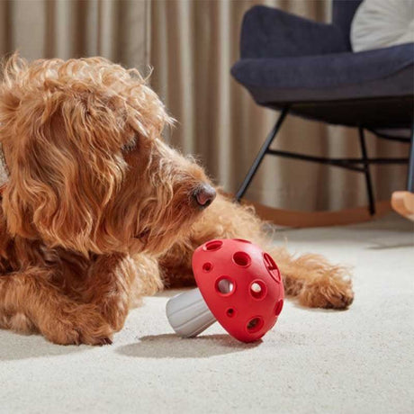 Zoon Treat Shroom Interactive Dog Toy - PET TOYS BOOKS - Beattys of Loughrea