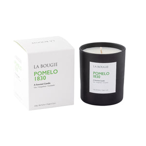 La Bougie Pomelo 1830 Candle 220g - POT POURRI/AROMATHERAPY/OILS/DIFFUSER - Beattys of Loughrea