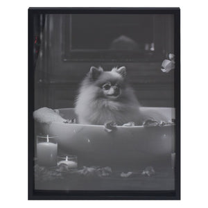 Pomeranian Wall Art Print, Monochrome, 45 x 60cm - PICTURES, PAINTINGS - Beattys of Loughrea