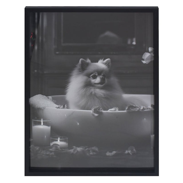 Pomeranian Wall Art Print, Monochrome, 45 x 60cm - PICTURES, PAINTINGS - Beattys of Loughrea