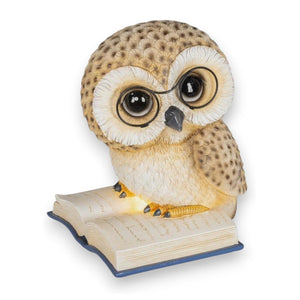 Decoris LED Owl on a Book 24.5cm, Warm White - XMAS CERAMIC WOOD RESIN GLASS ORNAMENTS - Beattys of Loughrea