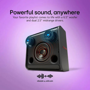 LG XBOOM STAGE 301 will.i.am Signature Bluetooth Speaker | Black - SPEAKERS HIFI MP3 PC - Beattys of Loughrea