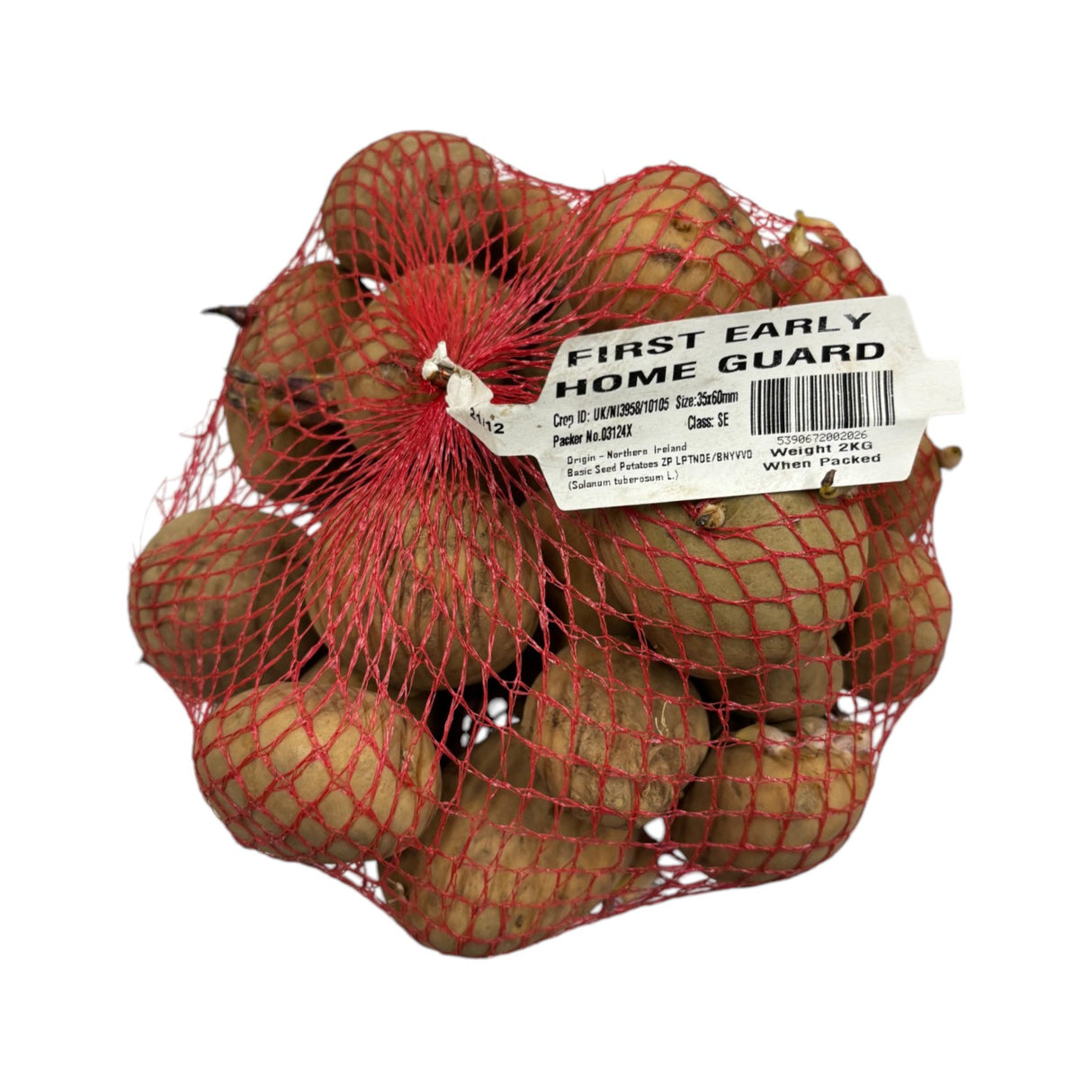 Home Guard First Early Seed Potatoes 2kg - SEED POTATOES - Beattys of Loughrea