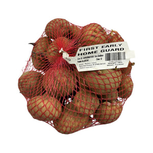 Home Guard First Early Seed Potatoes 2kg - SEED POTATOES - Beattys of Loughrea