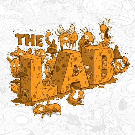 The Lab Card Game - GC001118 - CARD/GIFTWRAP/GIFTBAGS - Beattys of Loughrea
