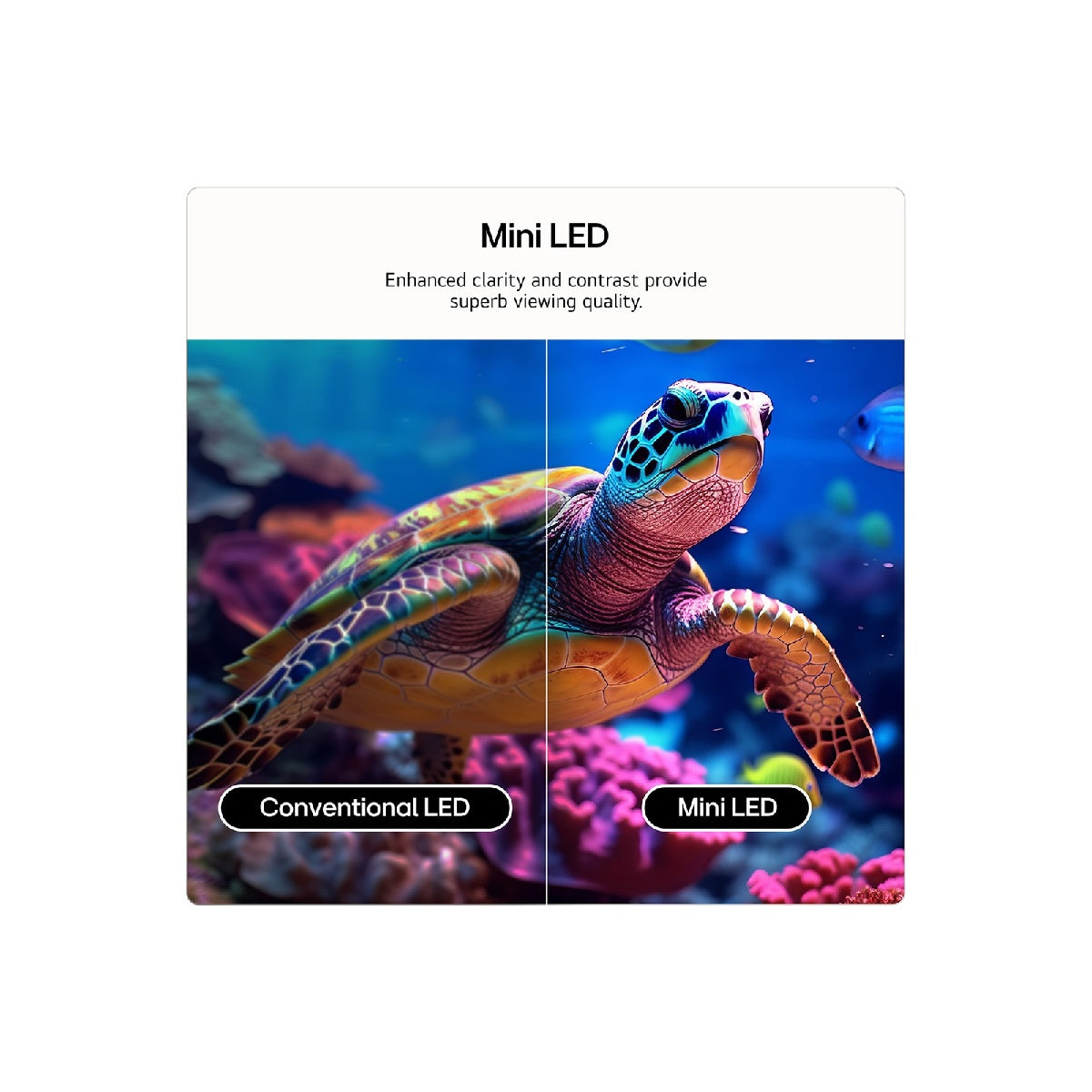 LG QNED 65QNED72B6B 165.1 cm (65") 4K Ultra HD Smart TV Black