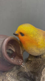 Lumineo 23cm Indoor and Outdoor Water Fountain with LED Light 'Birds with Pots'