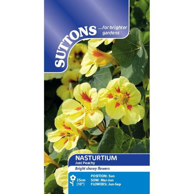 Suttons Nasturtium Peach Melba 123847 - SEED VEG & FLOWER - Beattys of Loughrea