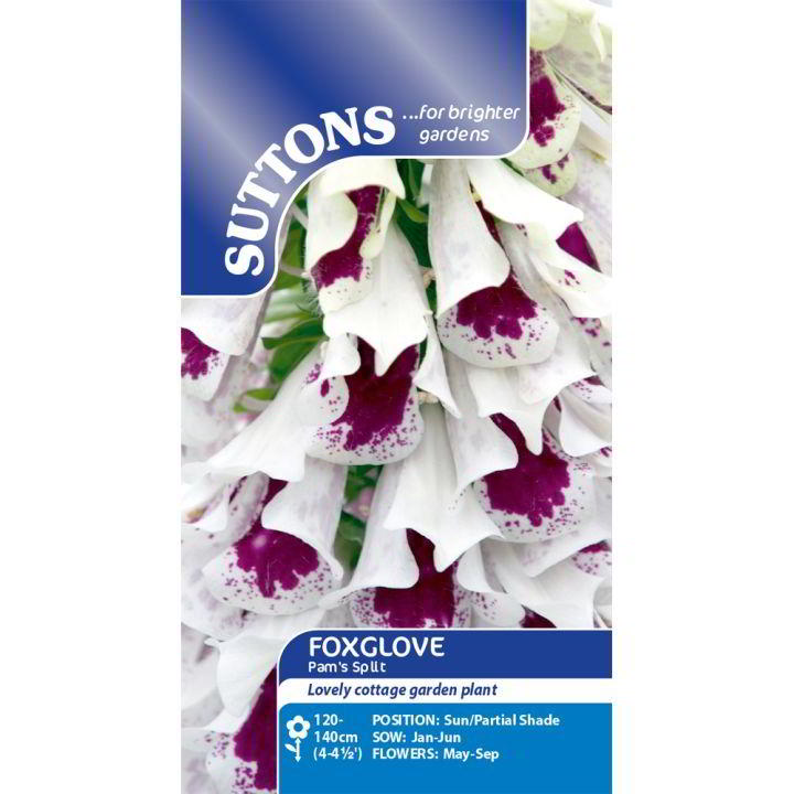 Suttons Foxglove Pams Split 113765 - SEED VEG & FLOWER - Beattys of Loughrea