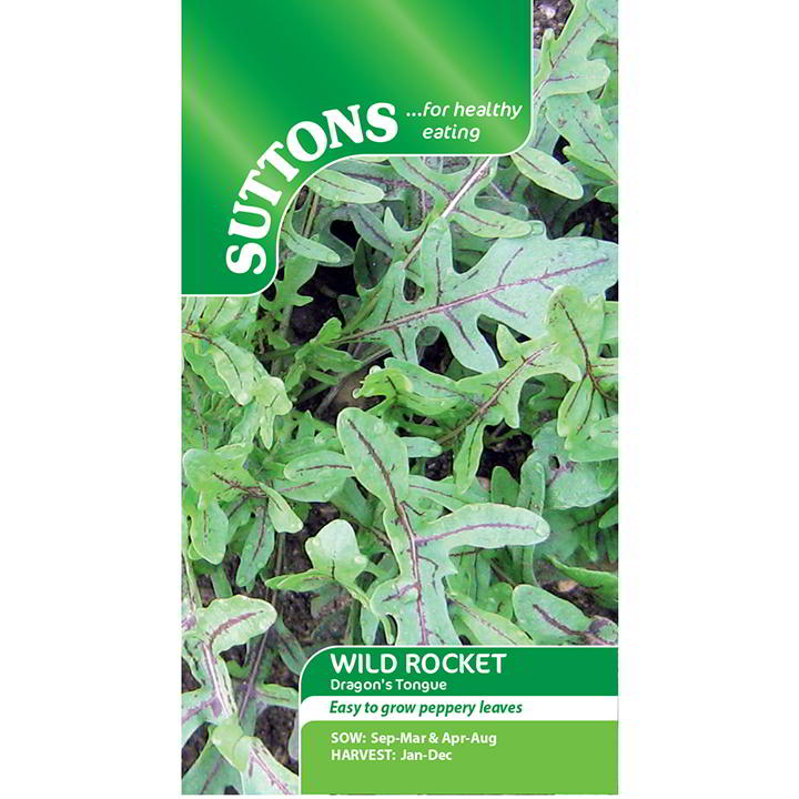 Suttons Rocket Wild Dragons Tongue 177474 - SEED VEG & FLOWER - Beattys of Loughrea