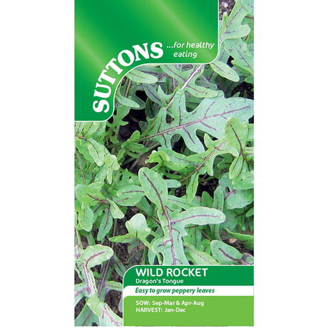 Suttons Rocket Wild Dragons Tongue 177474 - SEED VEG & FLOWER - Beattys of Loughrea