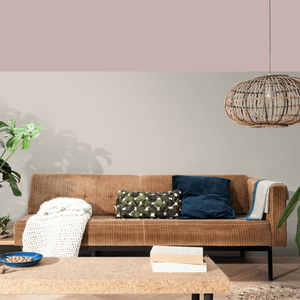 Moda 5L True Fiction Dulux - READY MIXED - WATER BASED - Beattys of Loughrea