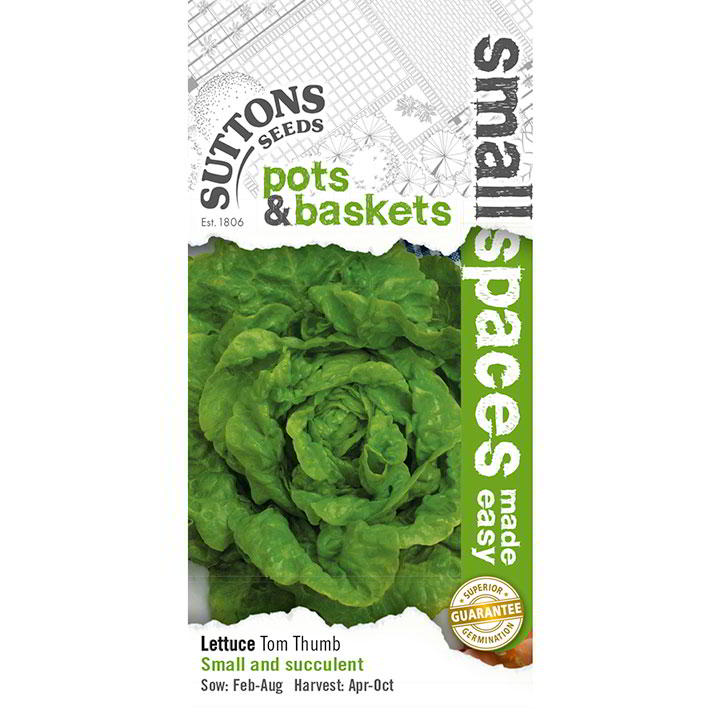 Suttons Lettuce Tom Thumb - SEED VEG & FLOWER - Beattys of Loughrea