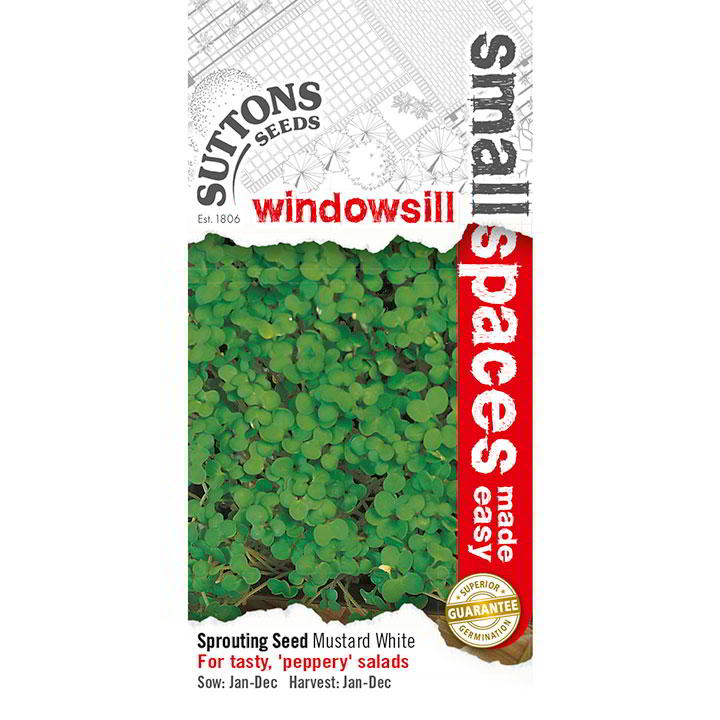 Suttons Mustard White Sprouting Seed - SEED VEG & FLOWER - Beattys of Loughrea