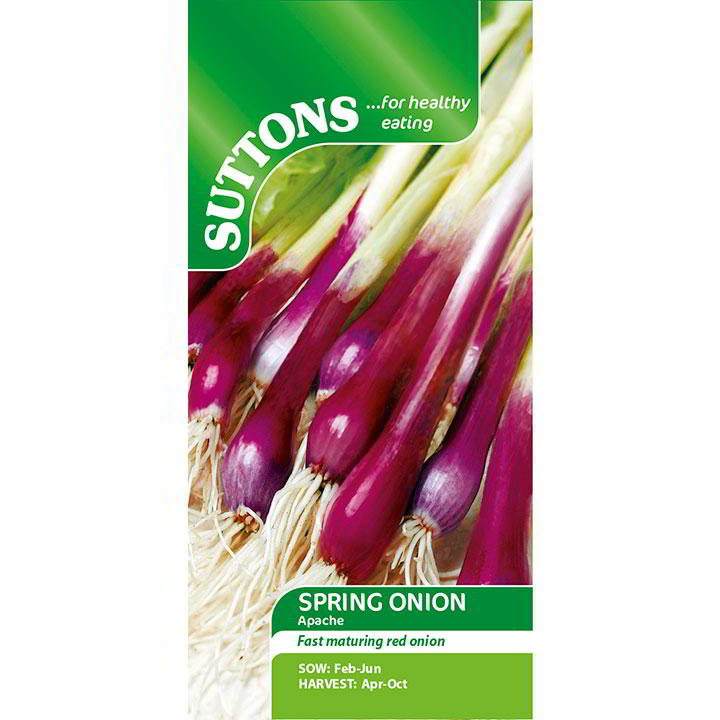 Suttons Spring Onion Apache - SEED VEG & FLOWER - Beattys of Loughrea