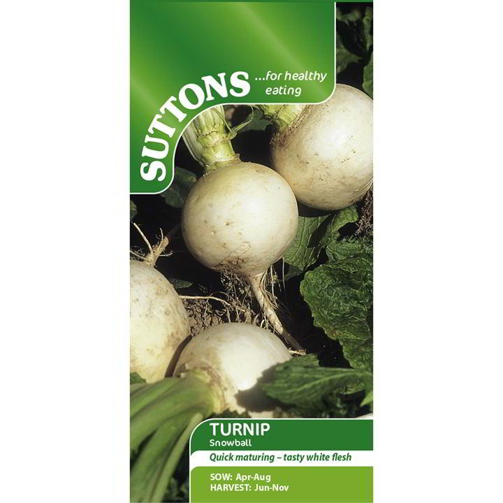 Suttons Turnip Snowball - SEED VEG & FLOWER - Beattys of Loughrea