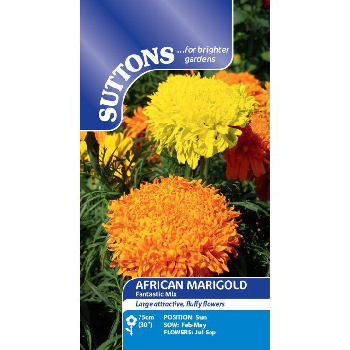 Suttons African Marigold Fantastic Mixed - SEED VEG & FLOWER - Beattys of Loughrea