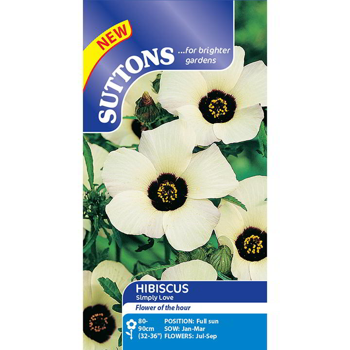 Suttons Hibiscus Simply Love - SEED VEG & FLOWER - Beattys of Loughrea