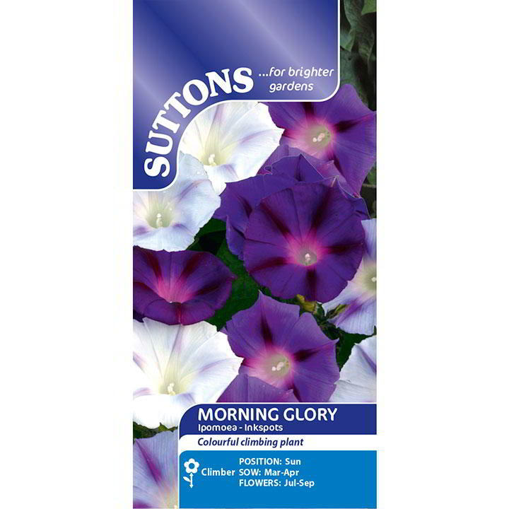Suttons Morning Glory Ipomea Inkspots - SEED VEG & FLOWER - Beattys of Loughrea