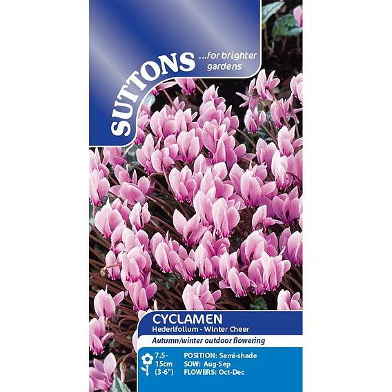 Suttons Cyclamen Hederifolium Winter Cheer G112023 - SEED VEG & FLOWER - Beattys of Loughrea