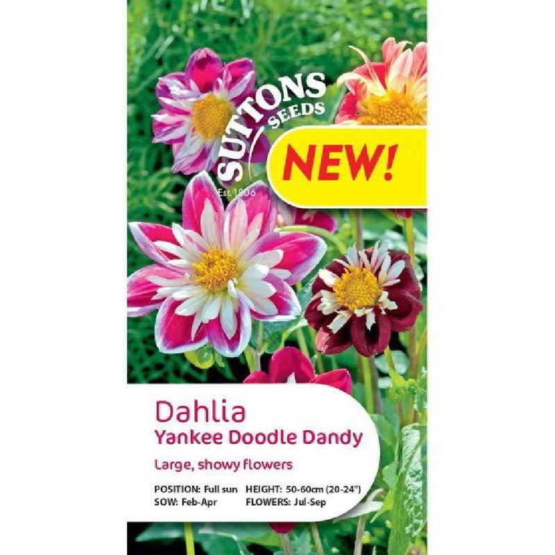 Suttons Dahlia Yankee Doodle Dandy G112386 - SEED VEG & FLOWER - Beattys of Loughrea