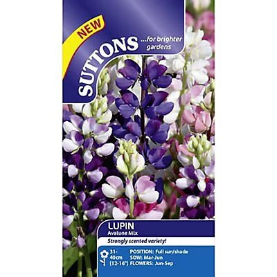 Suttons Lupinus Avalune Mix G120302 - SEED VEG & FLOWER - Beattys of Loughrea