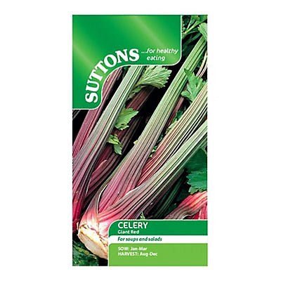 Suttons Celery Giant Red G160128 - SEED VEG & FLOWER - Beattys of Loughrea