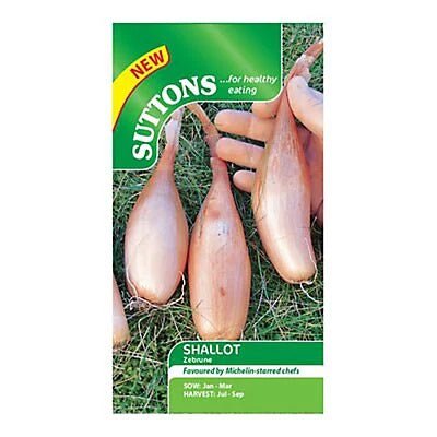 Suttons Shallot Zebrune G177905 - SEED VEG & FLOWER - Beattys of Loughrea